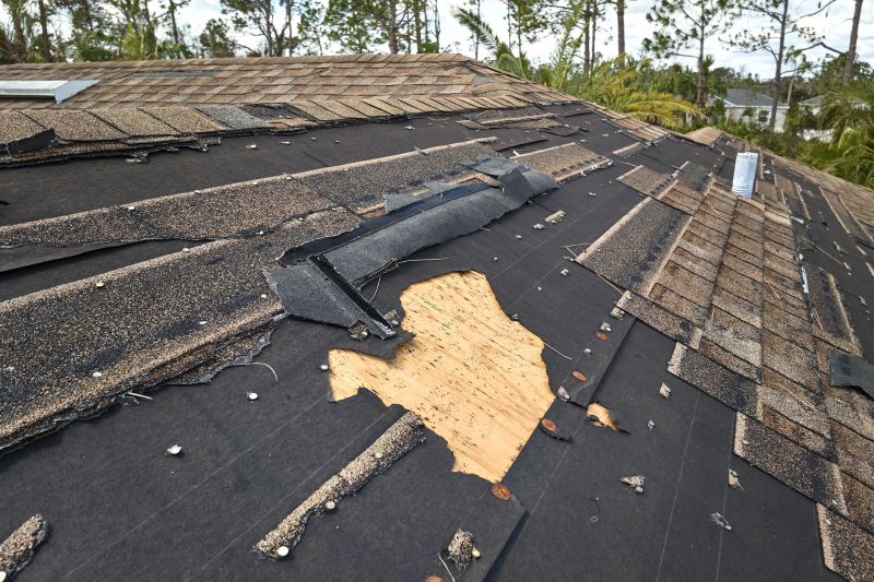 Roof Edge Repair