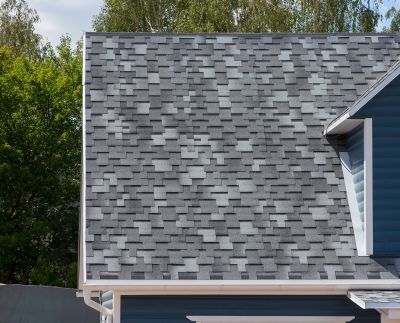 Specialized Roofing Services
